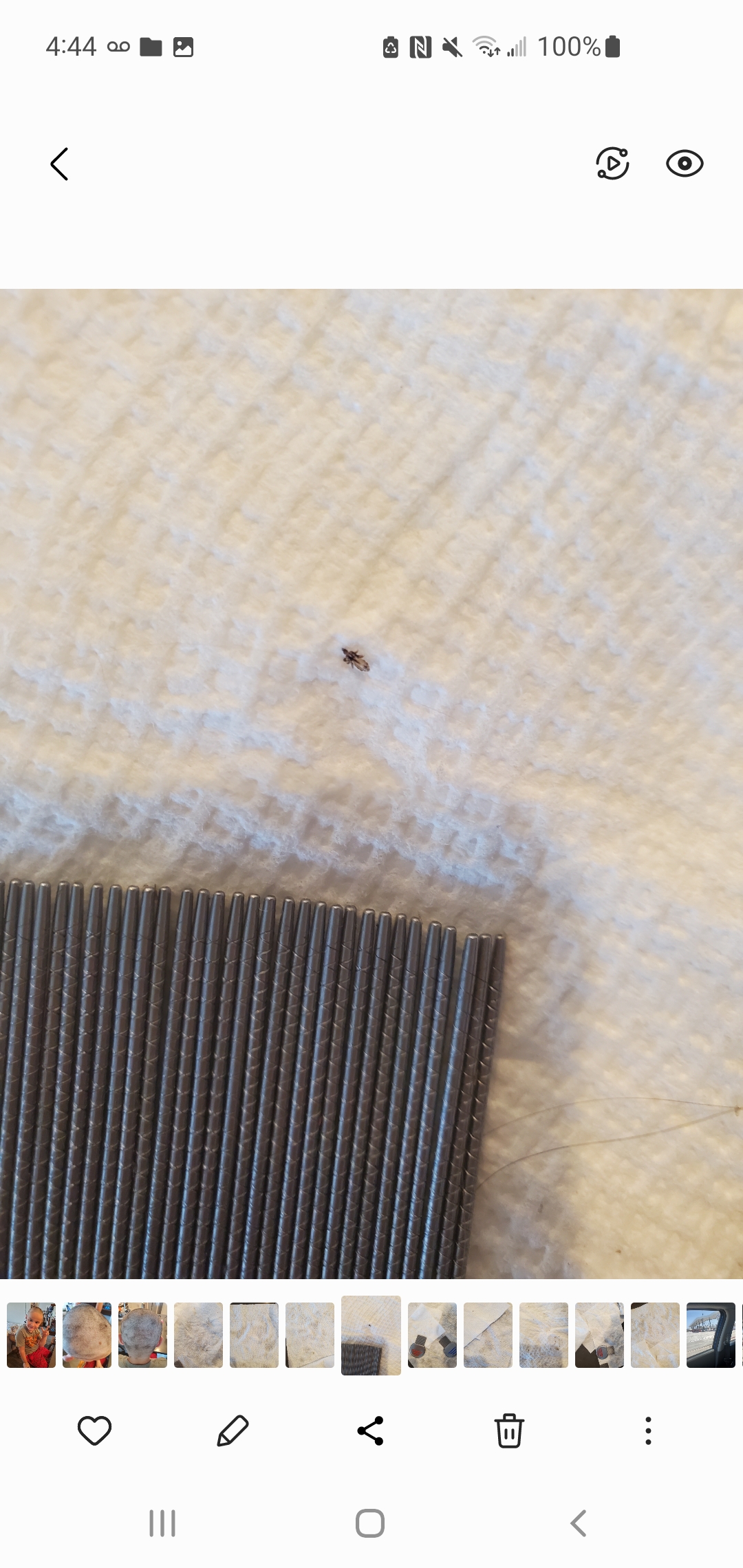 Lice Busters 805